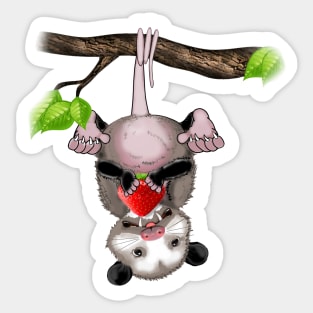 Cute possum eats strawberry Sticker